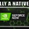 GeForce NOW App Officially Coming to Steam Deck! – CES 2025 News