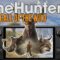 Can the Steam Deck Run The Hunter Call of the Wild?
