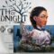 South of Midnight on Steam Deck: How Well Does It Perform? Full Review!