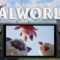 Can The Steam Deck Run Palworld?