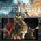 Can You REALLY Play New World Aeternum on Steam Deck in 2024?