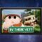 RV There Yet – Steam Deck Gameplay & Settings