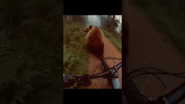 Private: [ID: 4Vh5SXELvjE] Youtube Automatic