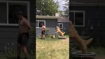 Private: [ID: gg-YqgtRJXs] Youtube Automatic