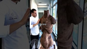 Private: [ID: iuzdrVSx6EU] Youtube Automatic