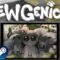 Mewgenics is PERFECT On Steam Deck! NEW Ultimate Cat Army Roguelite!
